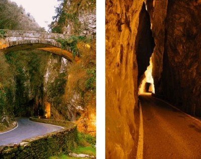 Tremosine113