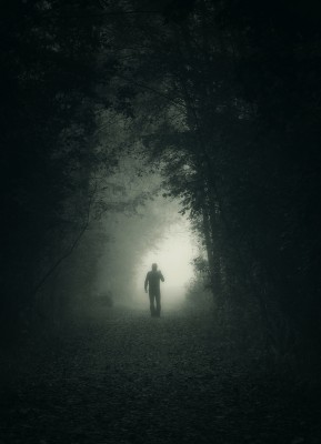 Der Weg ins Licht