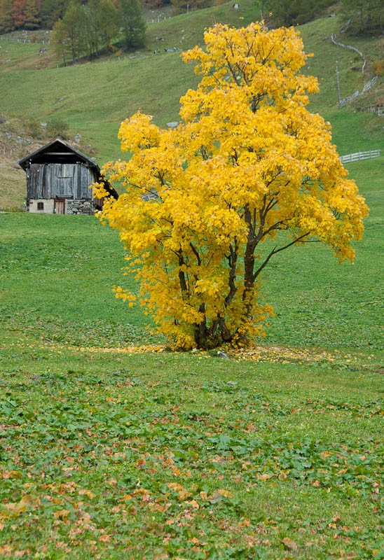 Herbst im Passeiertal