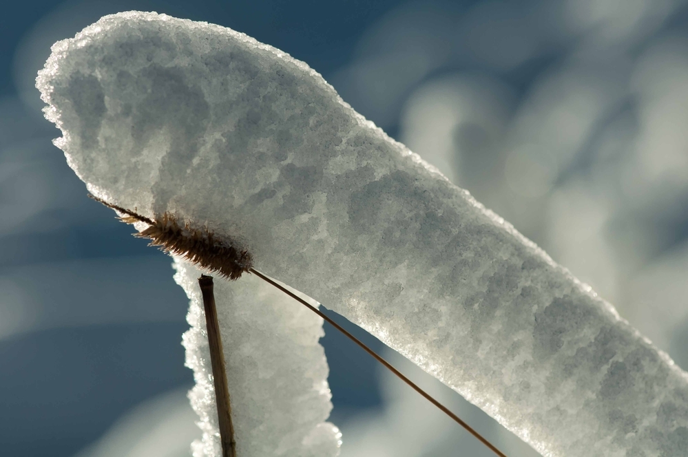 Schnee aus der Kanone