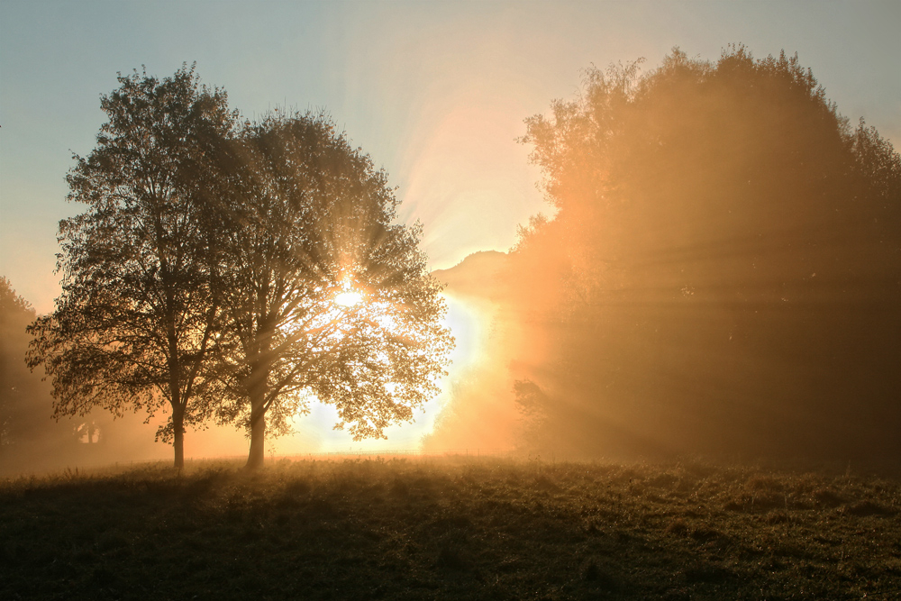 Herbstsonne