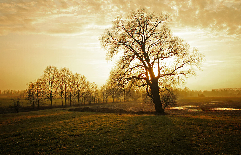 Sonnenuntergang