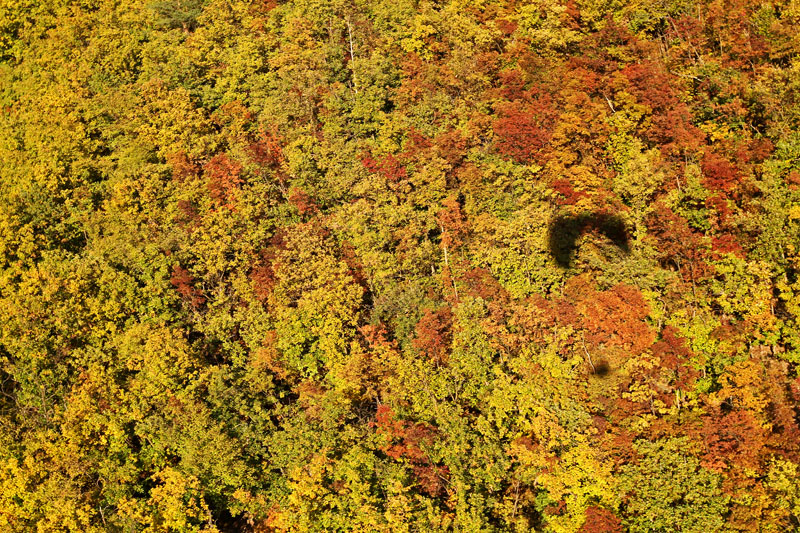 Herbststimmung