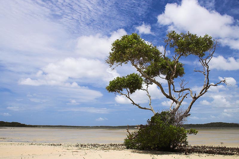 Inskip Point