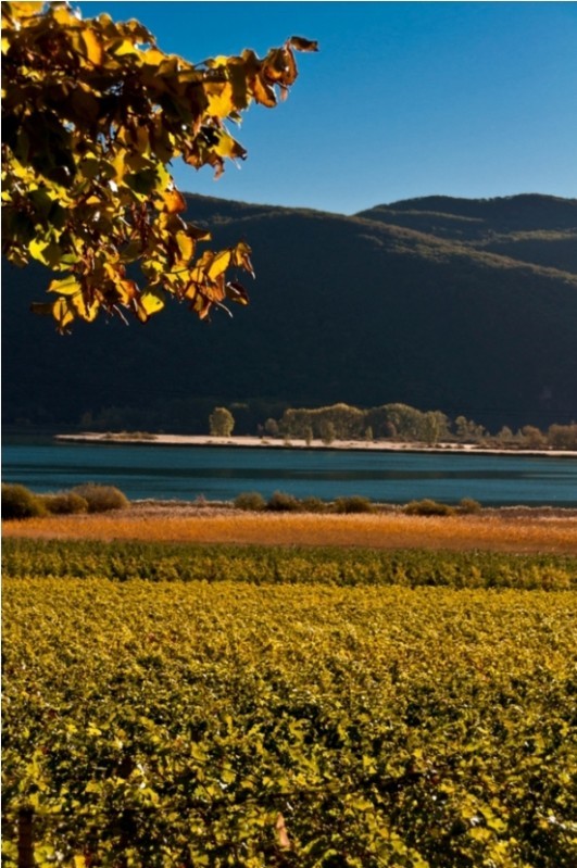 Kalterer See, Herbst, Sonne