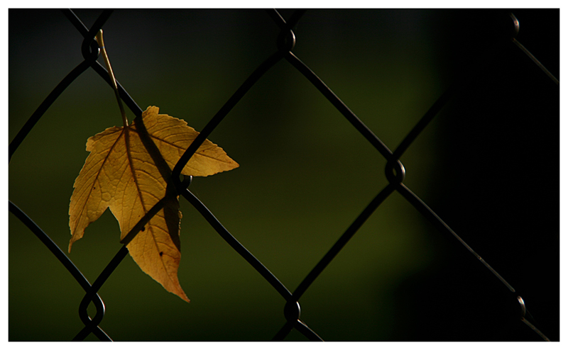 Herbstzeit