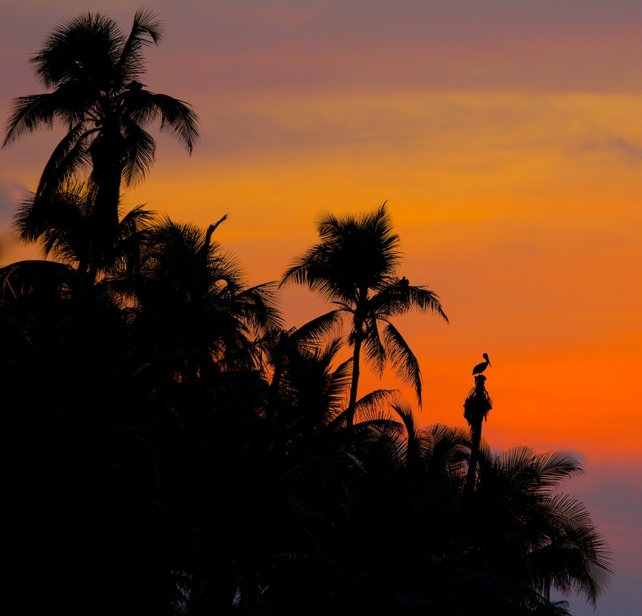 Pelikan Island - Panama bei Sonnenuntergang