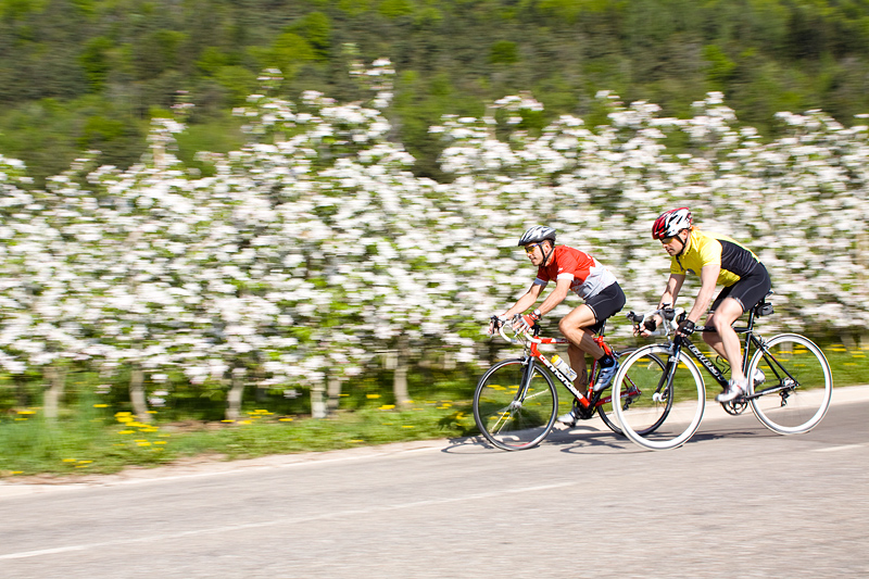 Rennrad Frühling in Südtirol