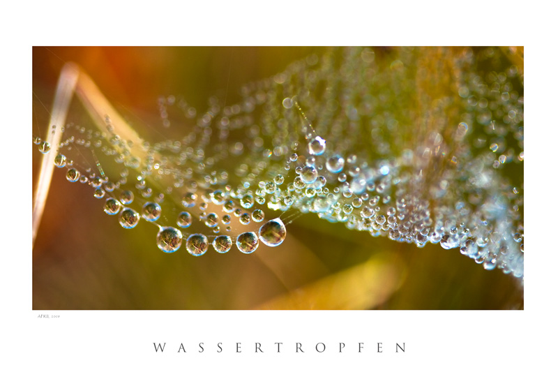 Wassertropfen