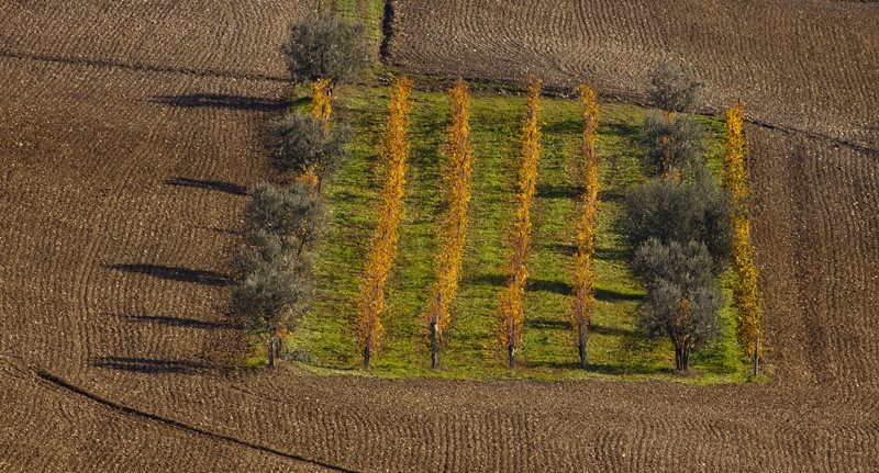 Toscana - Linien
