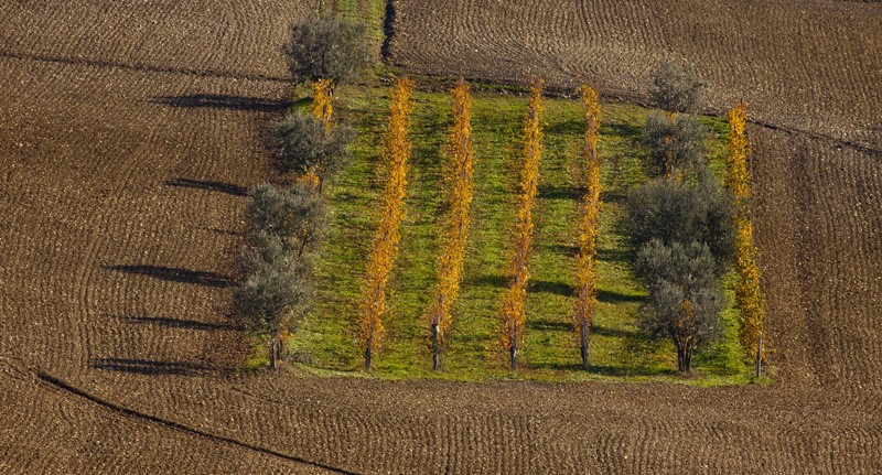 Toscana - Linien