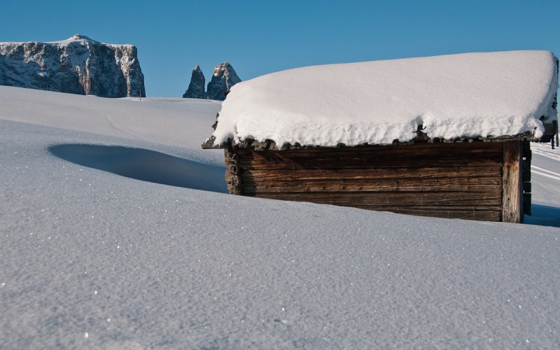 Winterträume