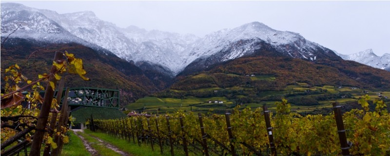 gerade die Trauben geliefert und schon lacht der Schnee vom Berg herunter