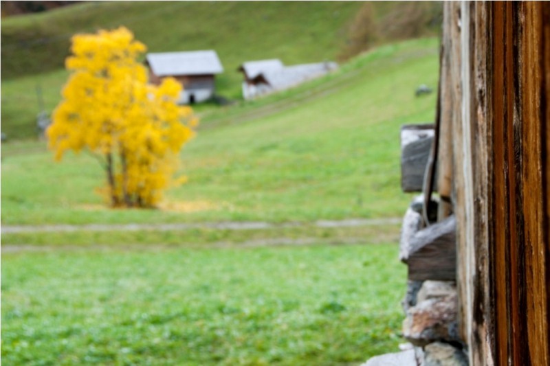 Herbst im hintersten Passeiertal