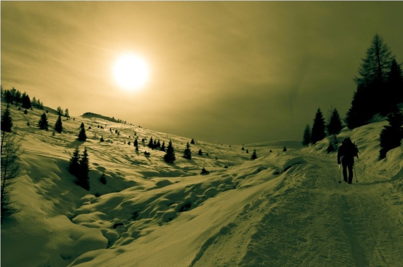 Winterlandschaft - Schneeschuhwandern