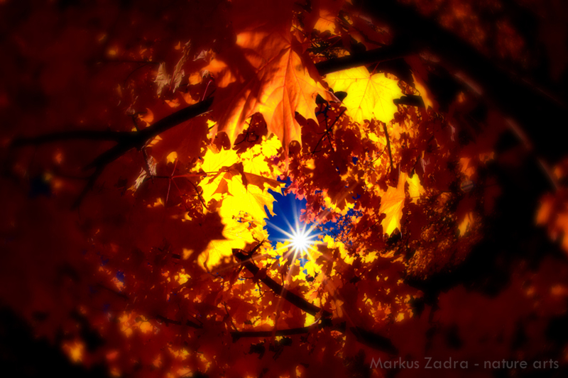 Herbsteindrücke