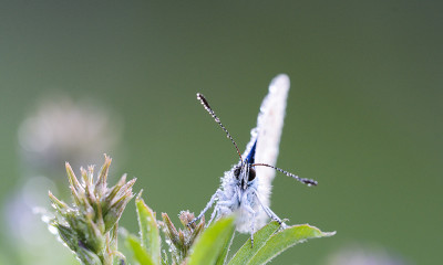 D71_3148fc