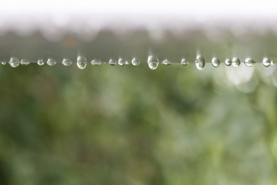 20151016-8293