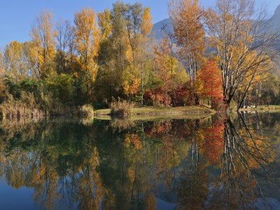 Herbstklopfen