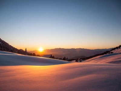 thomas_alessandri1