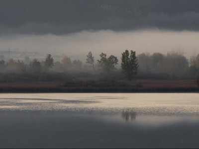 Morgennebel am Kalterer See_Antie Braito