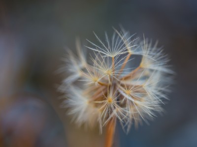 2-herbststimmung-aloisia-linter