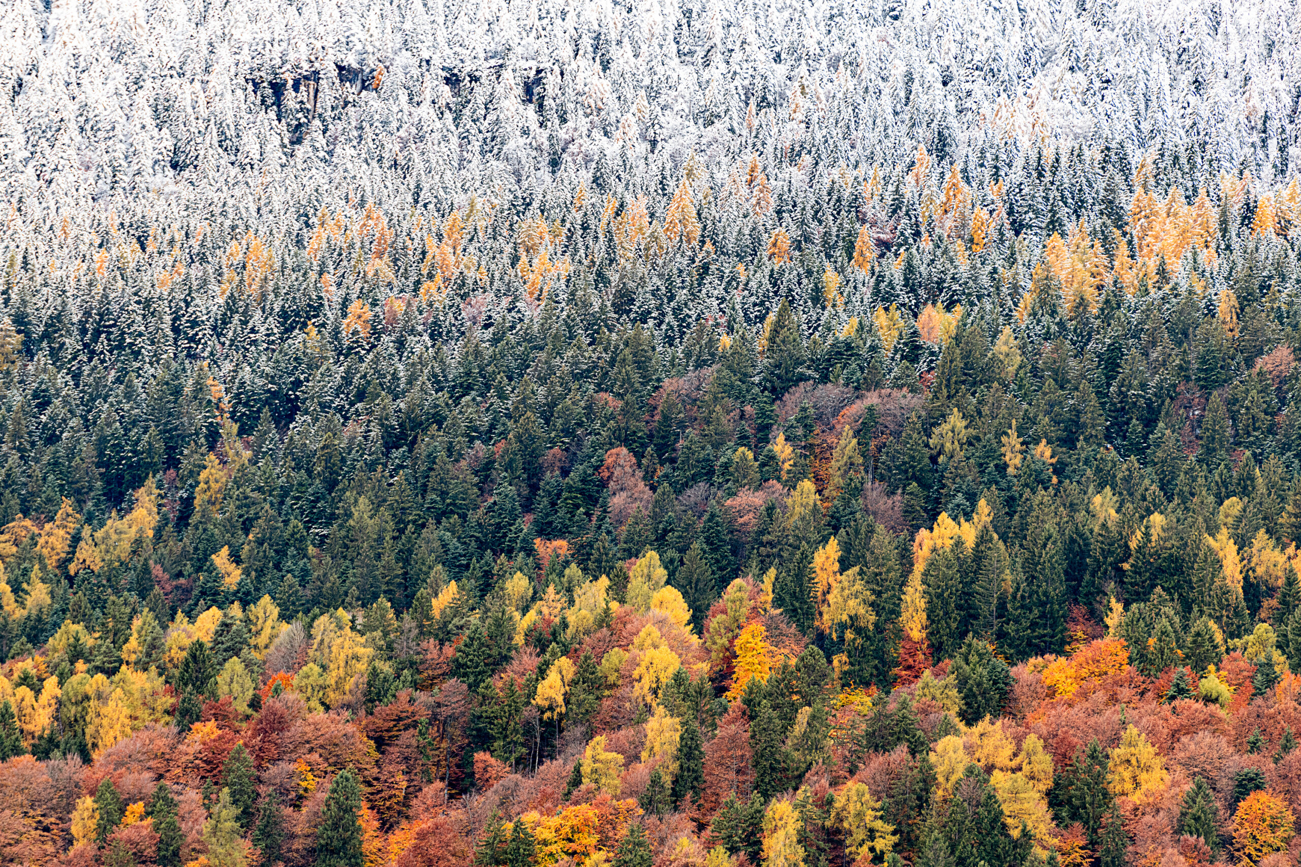 Herbst trifft Winter