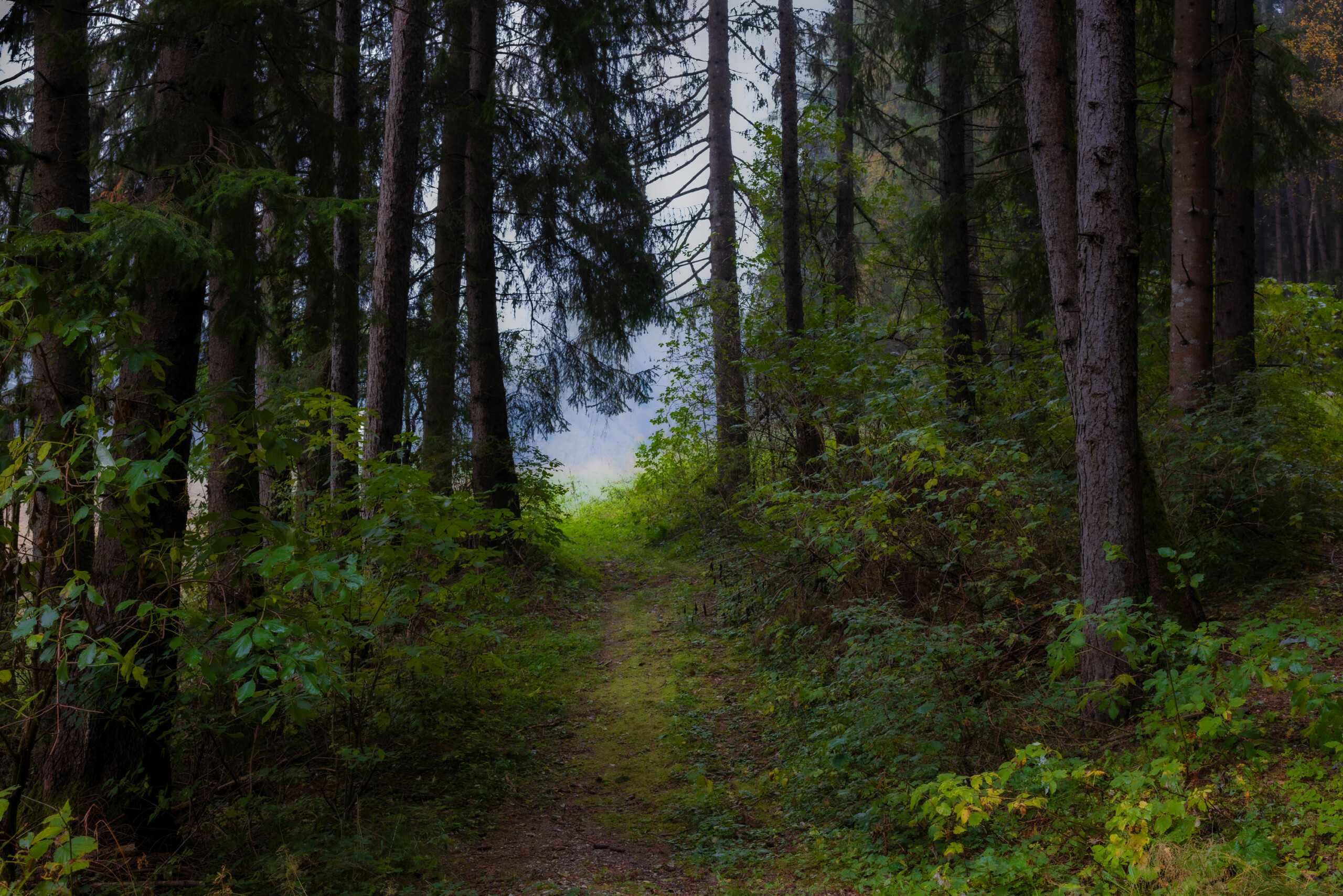 Der Weg ist das Ziel